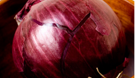 Onion Seeds Red Italy Update